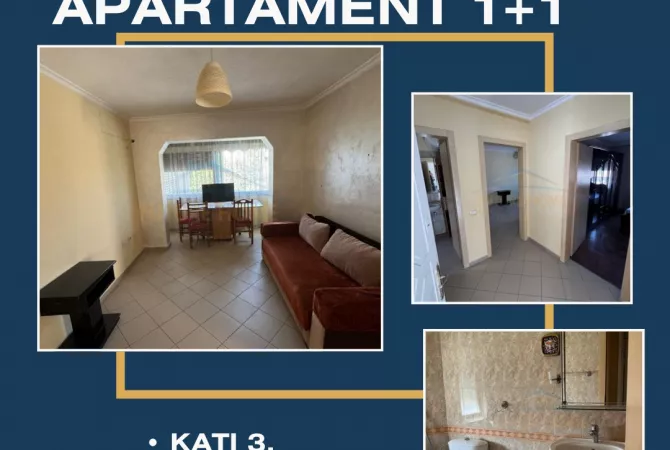 Shitet , Apartament 1+1, Zona 