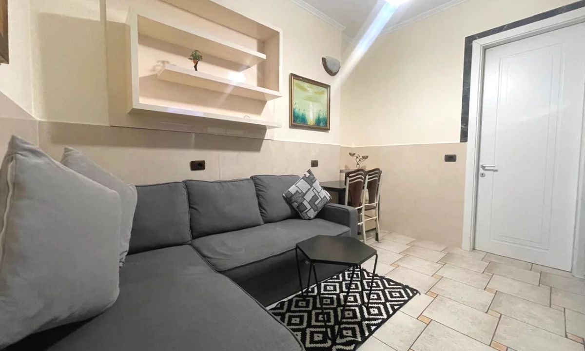 Shtepi me qera Apartament ne Tirane, 1+1, Mobilimi E mobiluar, Pagesa 450  Euro.