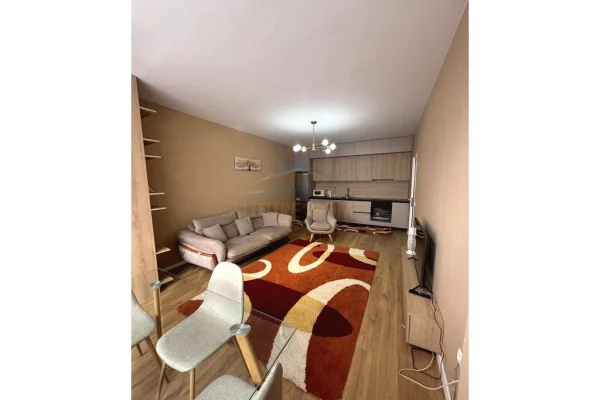 Shtepi me qera Apartament ne Tirane, 1+1, Mobilimi E mobiluar, Pagesa 450  Euro.