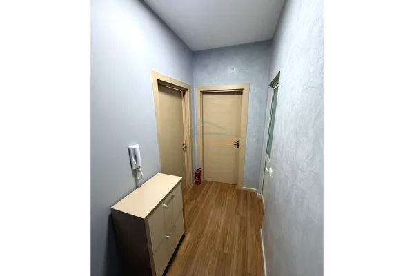 Shtepi me qera Apartament ne Tirane, 2+1, Mobilimi E mobiluar, Pagesa 500  Euro.