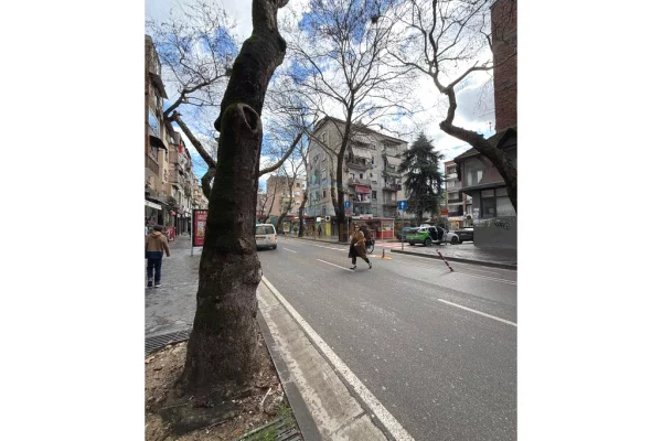 Qera, Ambient Komercial, Myslym Shyri