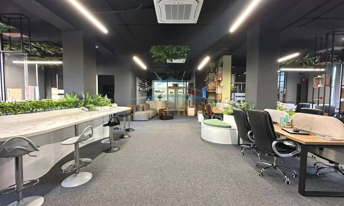 Qera,Zyre Luksoze,Kompleksi Delijorgji !