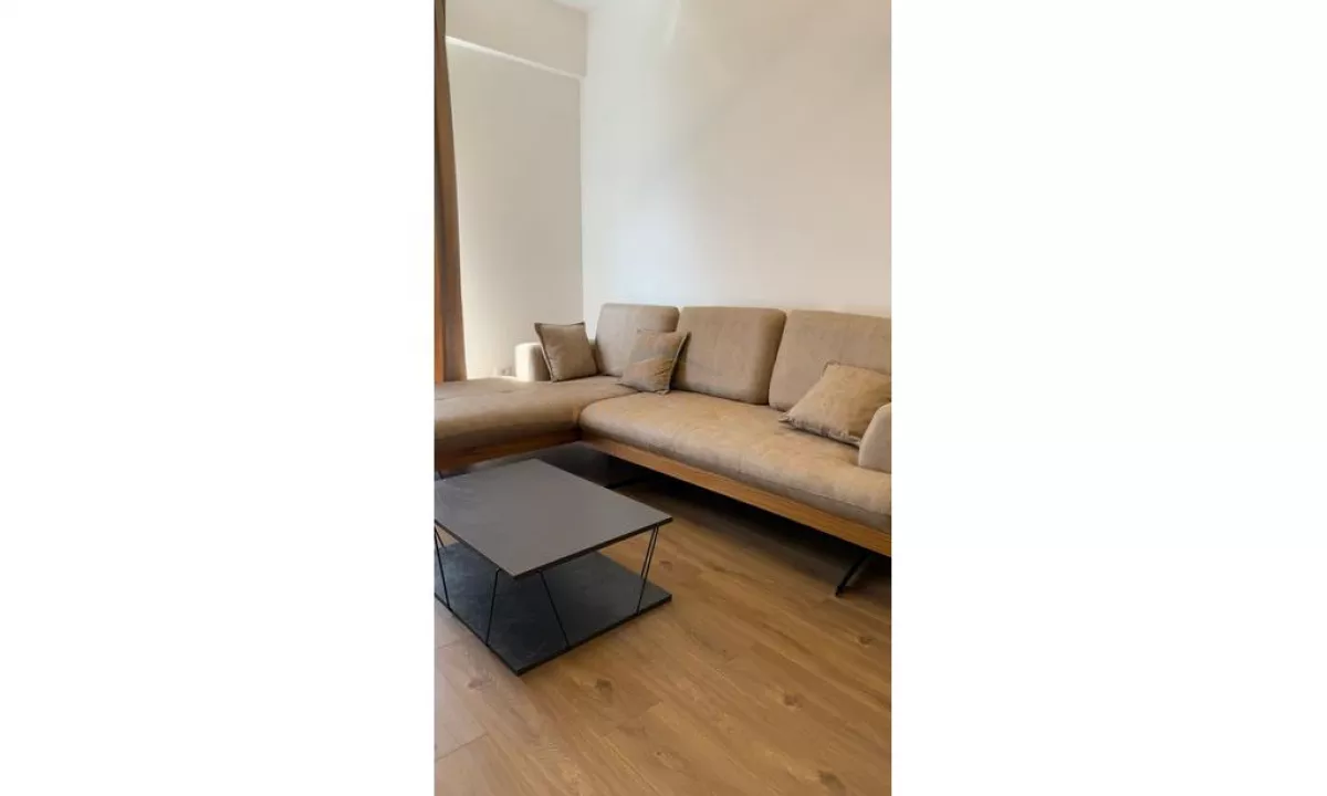 Shtepi ne shitje Apartament ne Tirane, 1+1, Mobilimi E mobiluar, Pagesa 100,000  Euro.