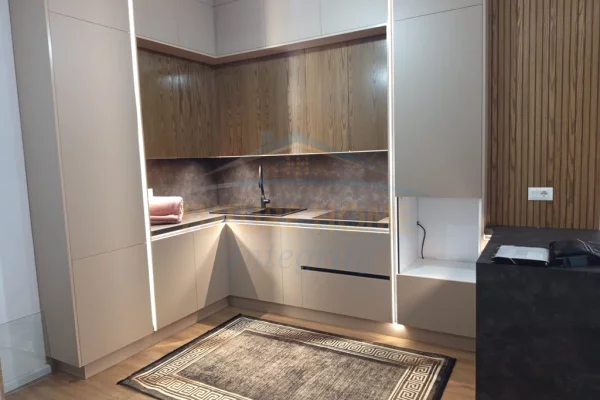 Apartment for rent in Tirana 1+1, Furnished