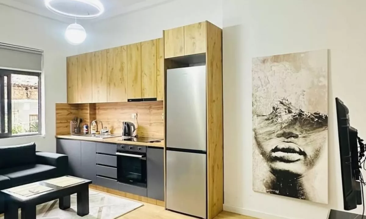 Shtepi me qera Apartament ne Tirane, 1+1, Mobilimi E mobiluar, Pagesa 650  Euro.