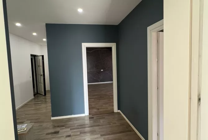 Ambient Zyrash Per Qira Tek Sheshi Willson.