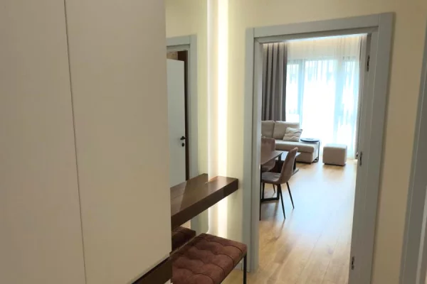 Apartment for rent in Tirana 1+1, Furnished