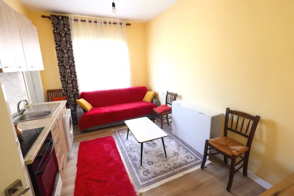 House for Rent 1+1 in Tirana - 30,000 Leke