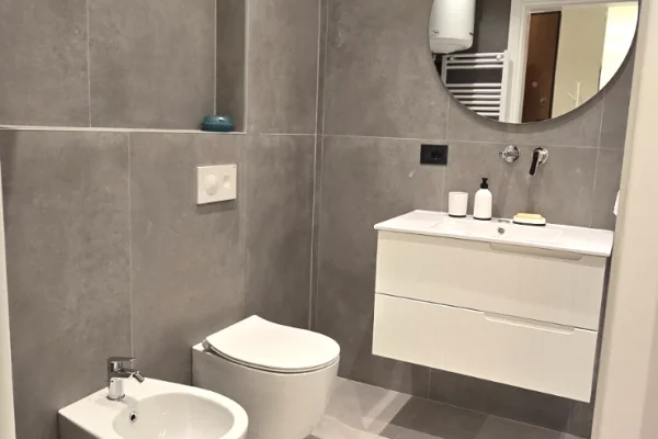 Shtepi me qera Apartament ne Tirane, 1+1, Mobilimi E mobiluar, Pagesa 750  Euro.