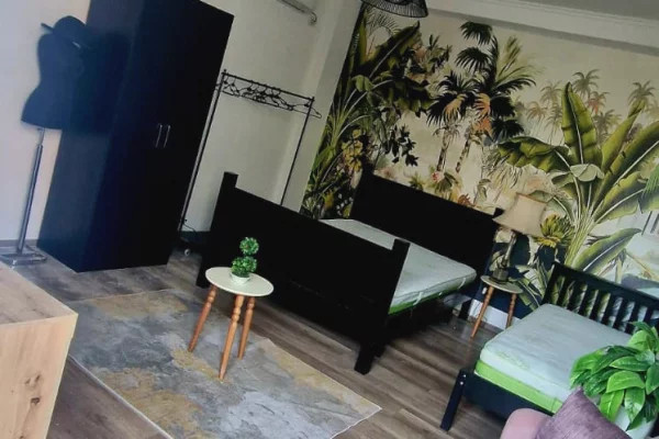 Shtepi me qera Duplex(shtepi me 2 kate) ne Tirane, 1+1, Mobilimi E mobiluar, Pagesa 60,000  Leke.