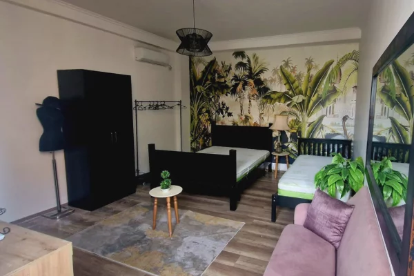 Shtepi me qera Duplex(shtepi me 2 kate) ne Tirane, 1+1, Mobilimi E mobiluar, Pagesa 60,000  Leke.