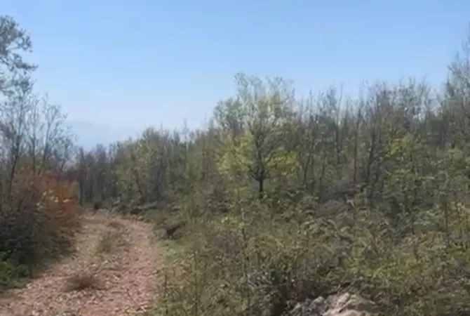 Truall ose Toke ne Lezhe - 200,000 Euro