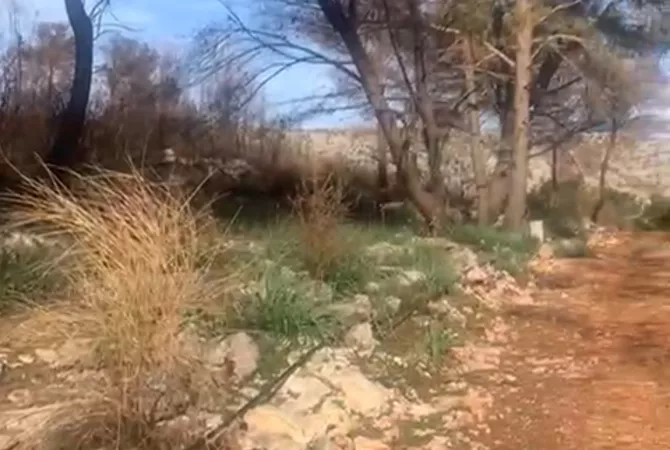 Truall ose Toke ne Lezhe - 250,000 Euro