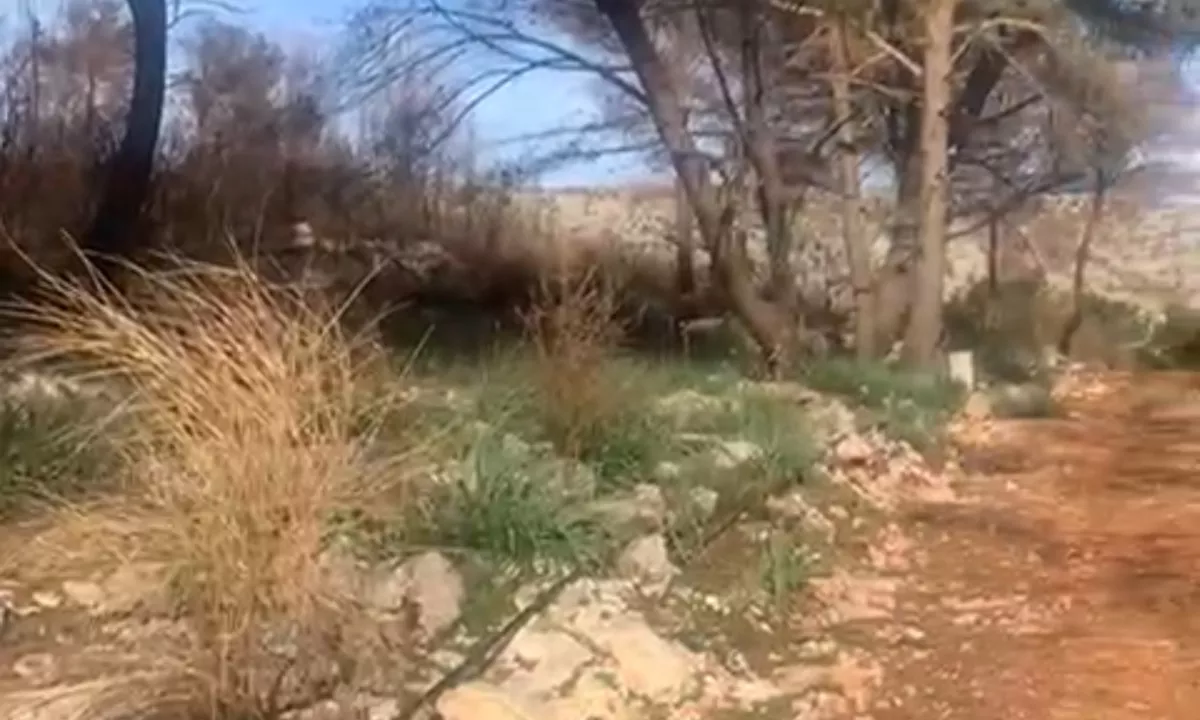 SHITET TOKE SHENGJIN