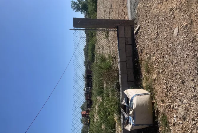 SHITET TOKE NE HYRJE TE SHENGJINIT