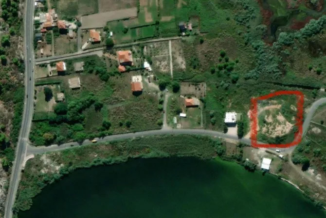 SHITET TOKE NE HYRJE TE SHENGJINIT