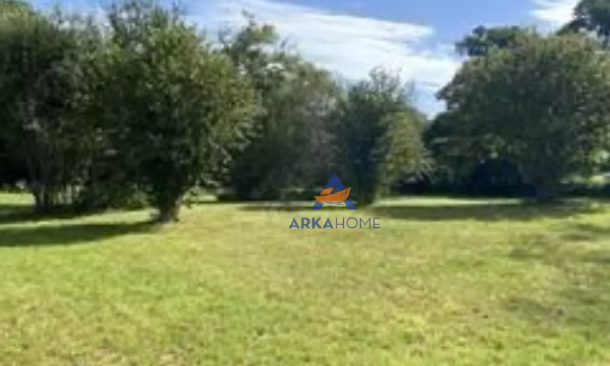 SHITET TOKE 2523M2 "IBE E POSHTME,BERZHITE" 163.995 EURO