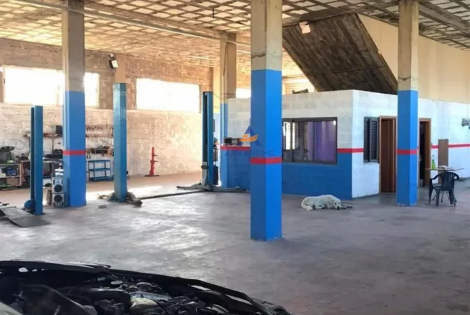 Ambient biznesi me qera 4+1 ne Tirane - 1,300 Euro