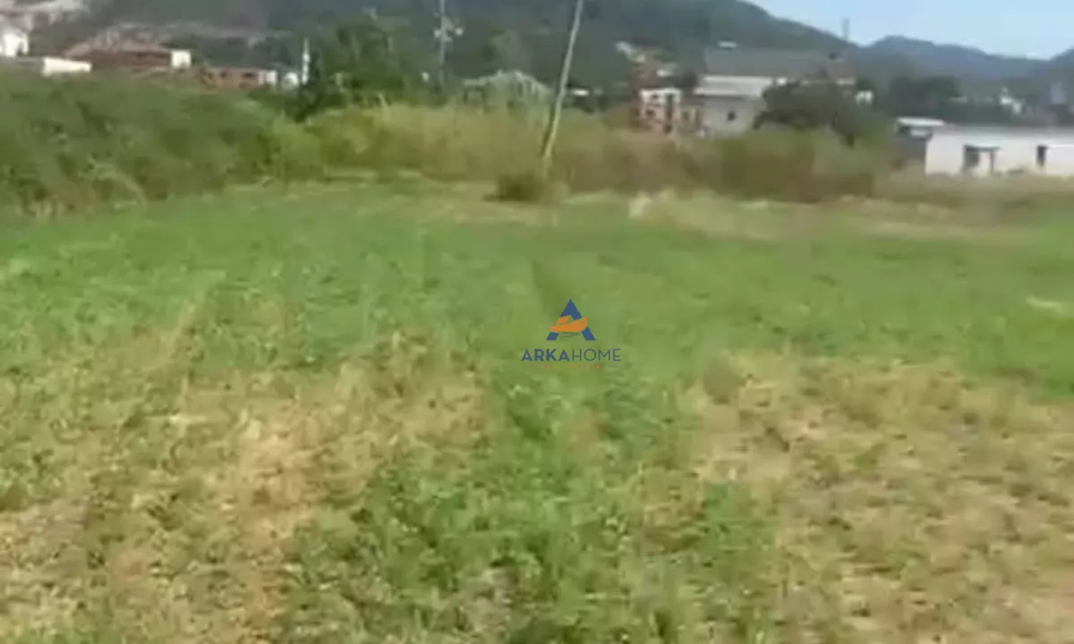 SHITET TOKE 3000M2 "PEZE HELMES" 180.000 EURO