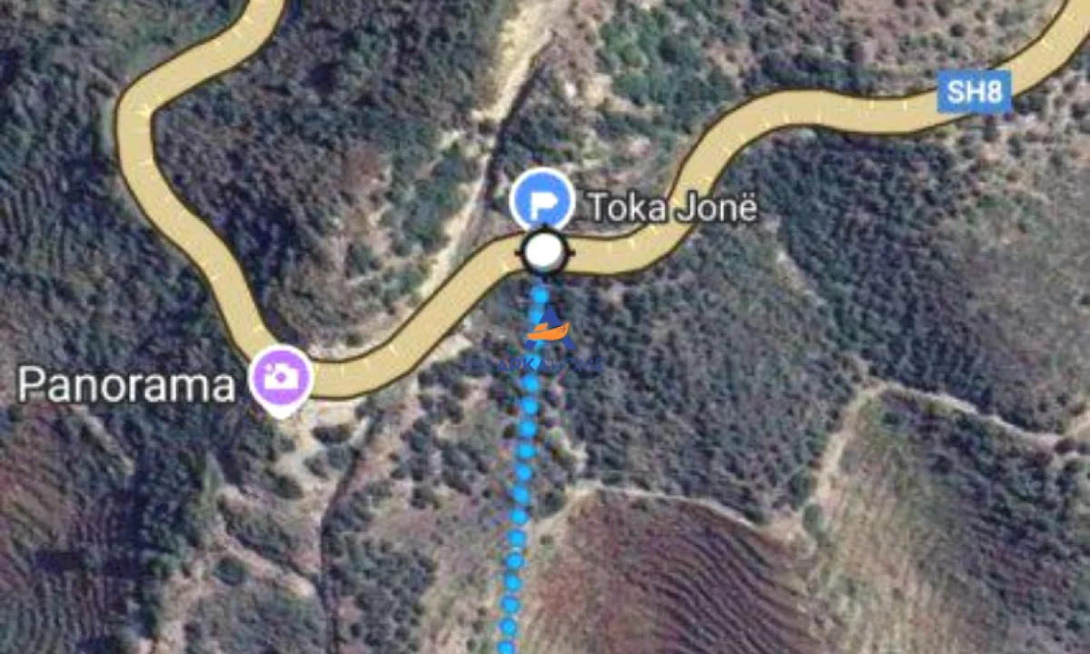 SHITET TOKE NE BREGDET 12.000M2 