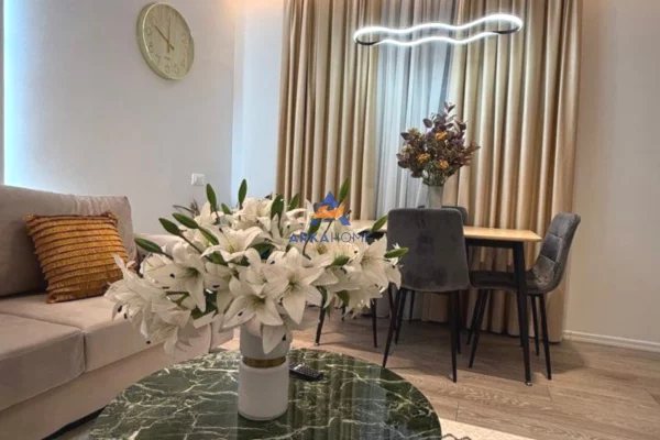 Apartment for rent in Tirana 1+1, Furnished