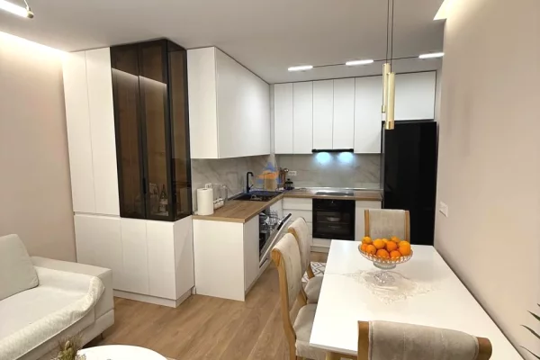 Shtepi ne shitje Apartament ne Tirane, 1+1, Mobilimi E mobiluar, Pagesa 115,000  Euro.