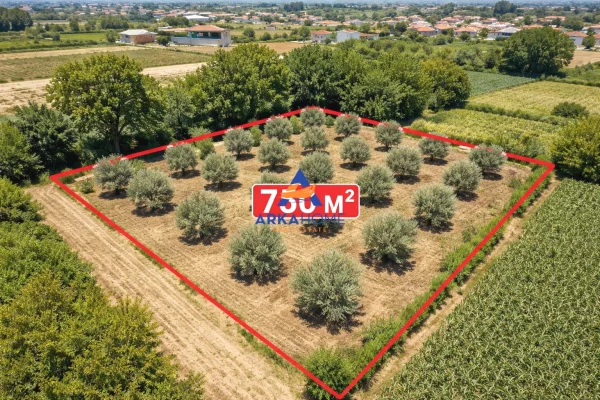Land for Sale in Fier - 45,500 Euro