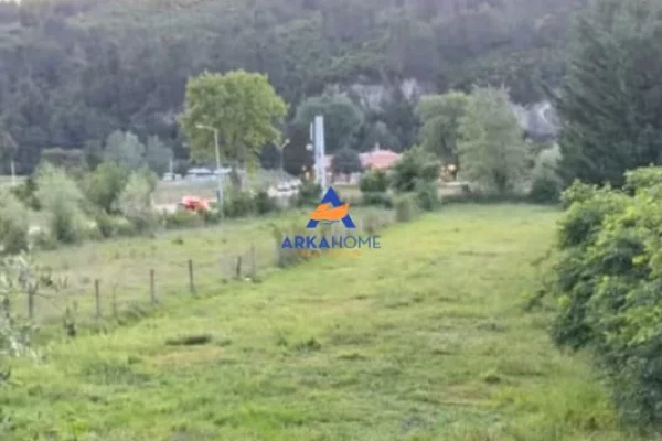 Truall ose Toke ne Tirane - 225,000 Euro