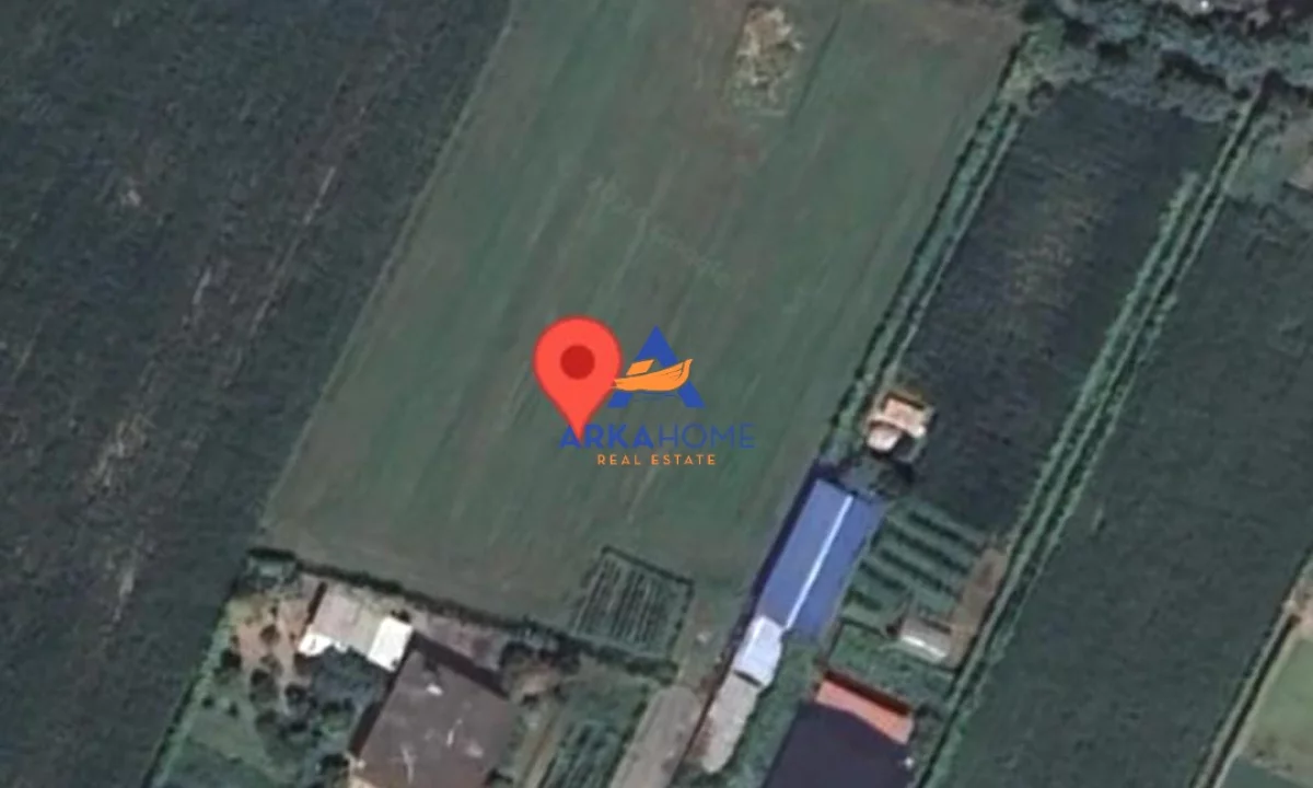 SHITET TOKE 4,000 M2 "FSHATI GAJUSH,LEZHE" 55.000 EURO