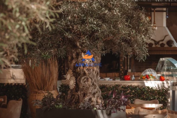 JEPET ME QERA RESTORANT "NE QEPARO" 50.000 EURO