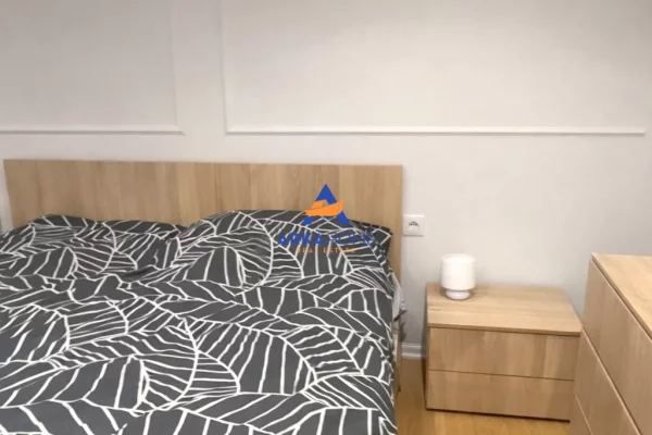 Shtepi me qera Apartament ne Tirane, 1+1, Mobilimi E mobiluar, Pagesa 550  Euro.