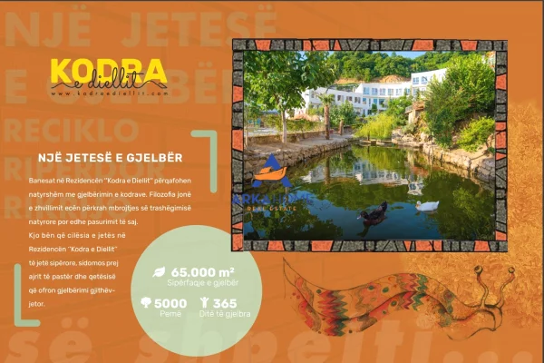 Shtepi ne shitje Duplex(shtepi me 2 kate) ne Tirane, 4+1, Mobilimi Bosh, pa mobiluar, Pagesa 615,000  Euro.