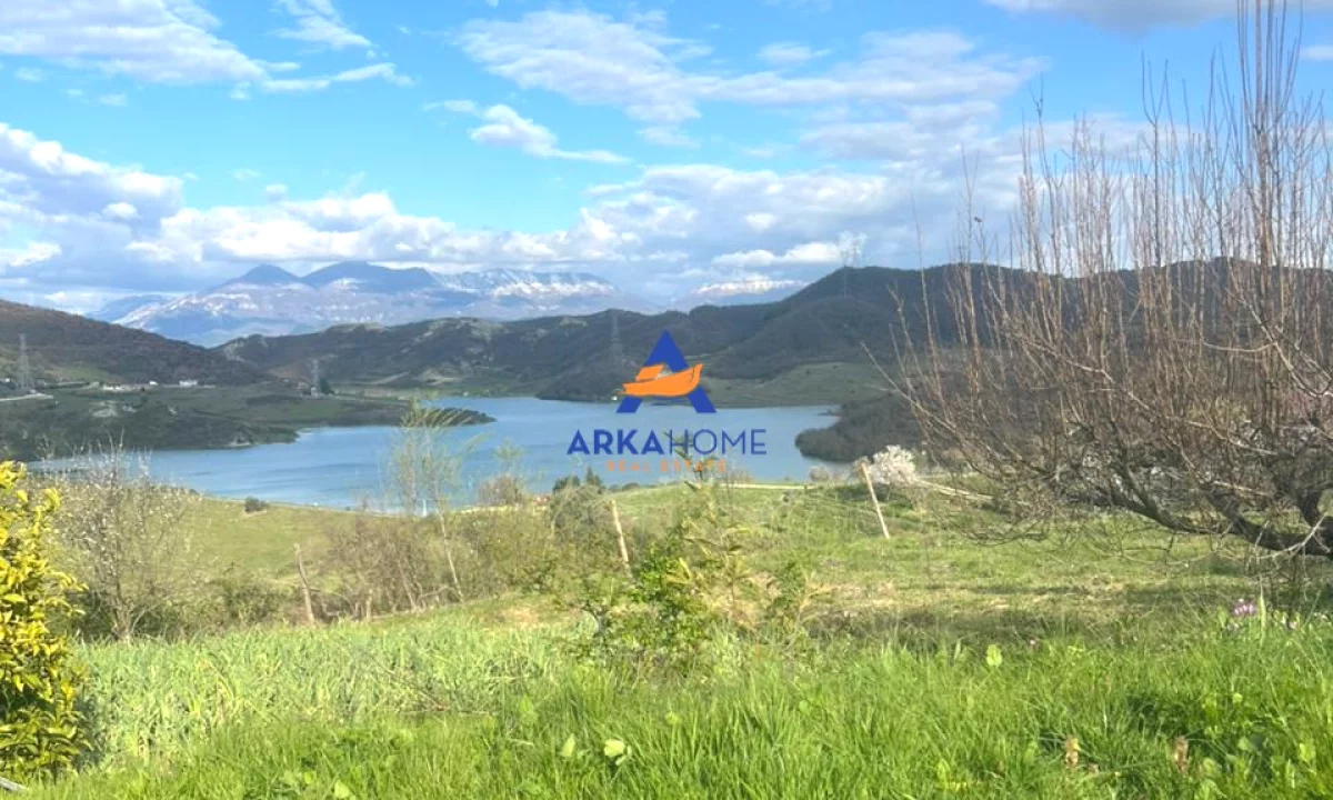 SHITET 6000M2 TRUALL + SHTEPI PRIVATE 