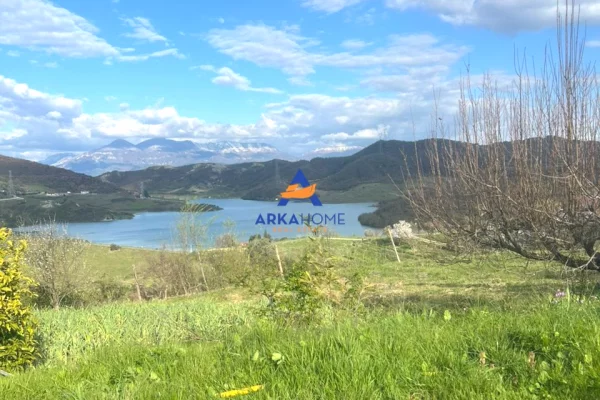 Truall ose Toke ne Tirane - 570,000 Euro