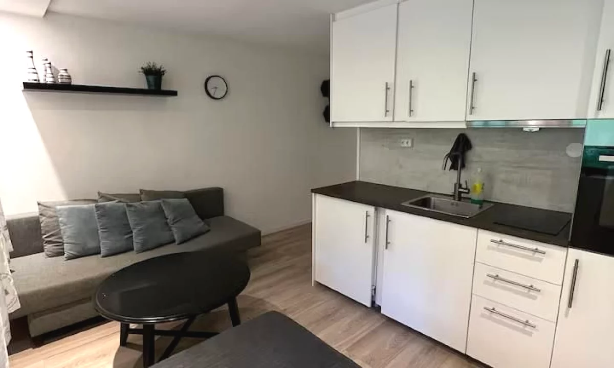 Shtepi ne shitje Apartament ne Tirane, 1+1, Mobilimi E mobiluar, Pagesa 110,000  Euro.
