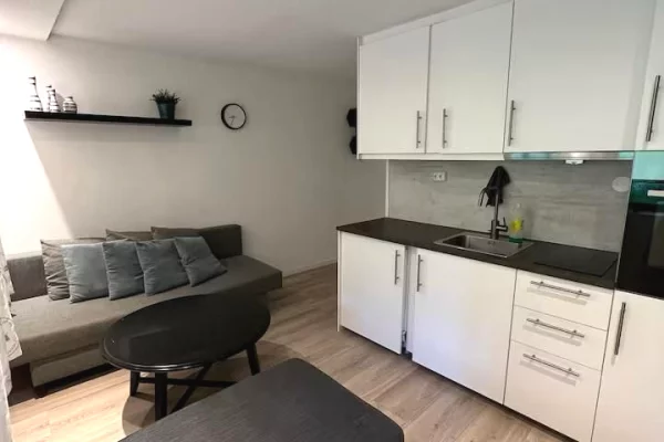 Shtepi ne shitje 1+1 ne Tirane - 110,000 Euro