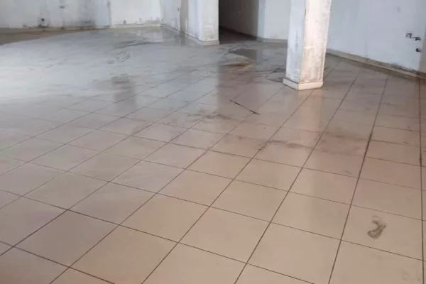 SHITET AMBIENT BIZNESI 1000M2 