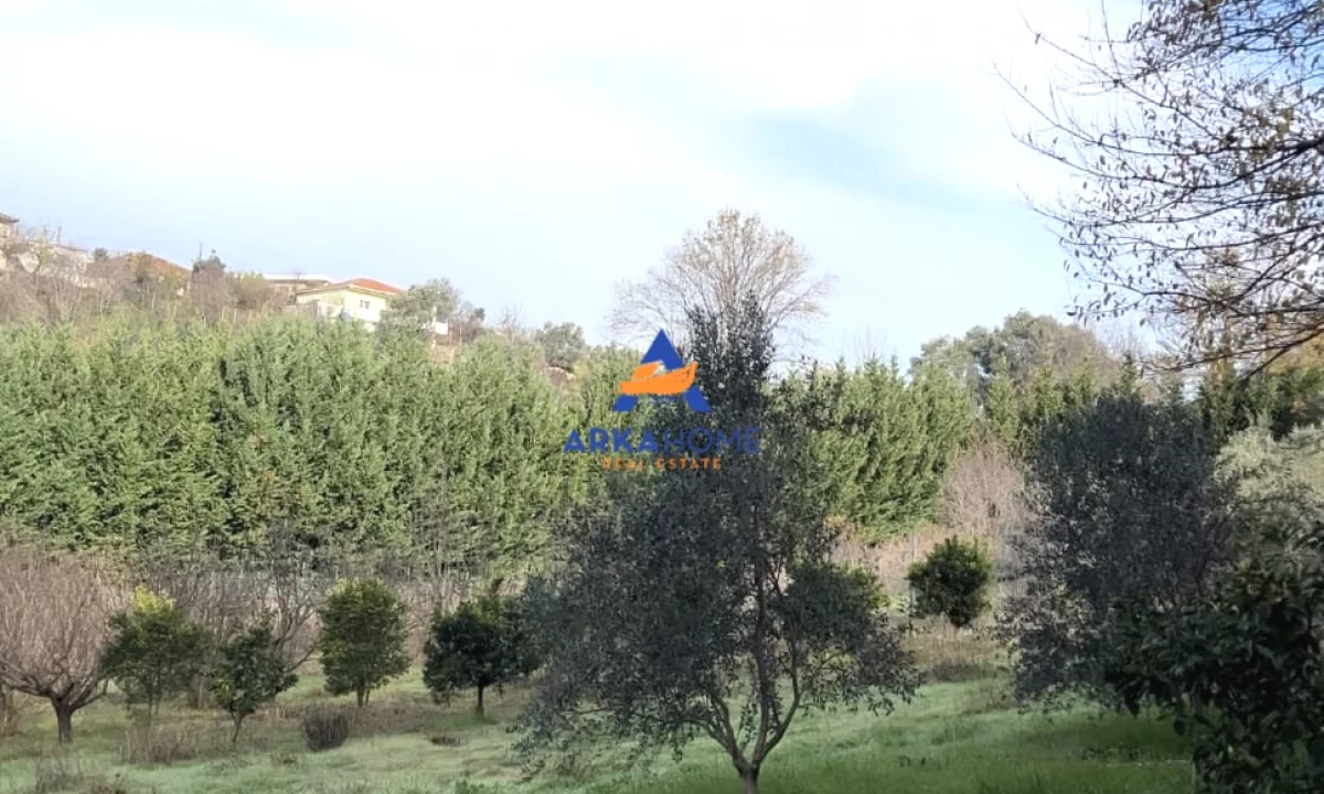 SHITET TOKE 2000 M2 "PRUSH" 260.000 EURO