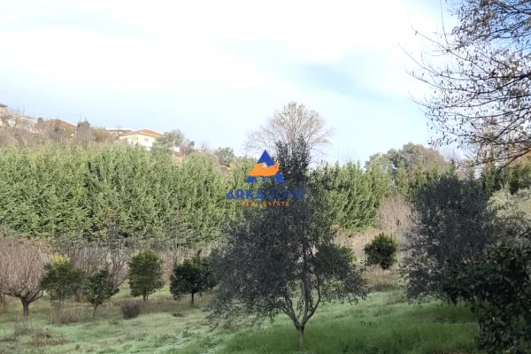 SHITET TOKE 2000 M2 "PRUSH" 260.000 EURO