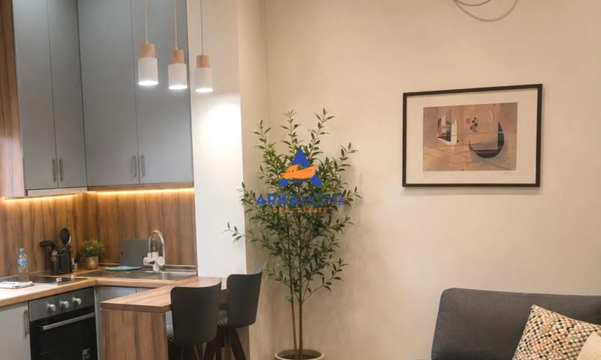 Shtepi me qera Apartament ne Tirane, 1+1, Mobilimi E mobiluar, Pagesa 630  Euro.