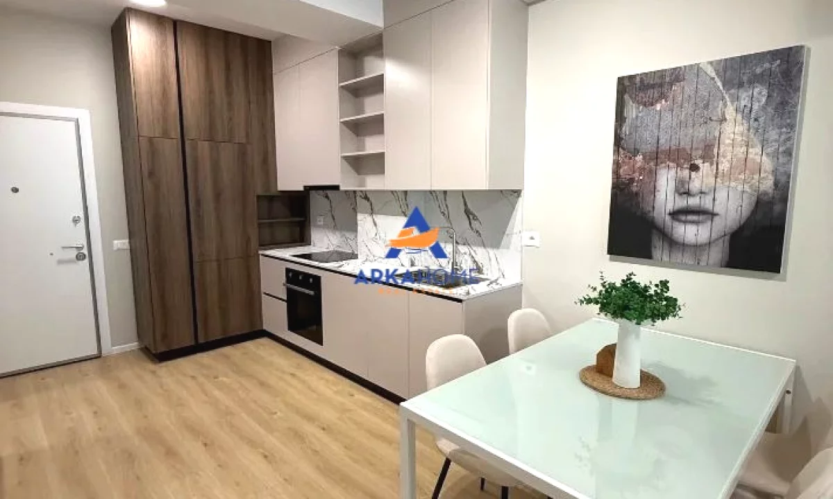 Shtepi me qera Apartament ne Tirane, 1+1, Mobilimi E mobiluar, Pagesa 473  Euro.