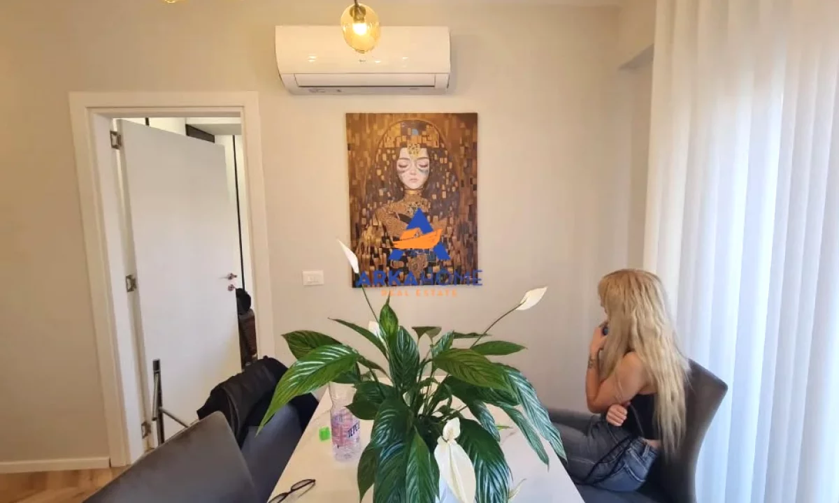Shtepi ne shitje Apartament ne Tirane, 1+1, Mobilimi E mobiluar, Pagesa 245,263  Euro.