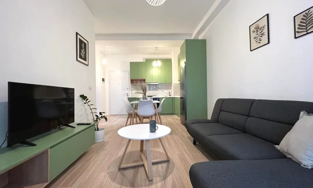 Shtepi me qera Apartament ne Tirane, 1+1, Mobilimi E mobiluar, Pagesa 700  Euro.
