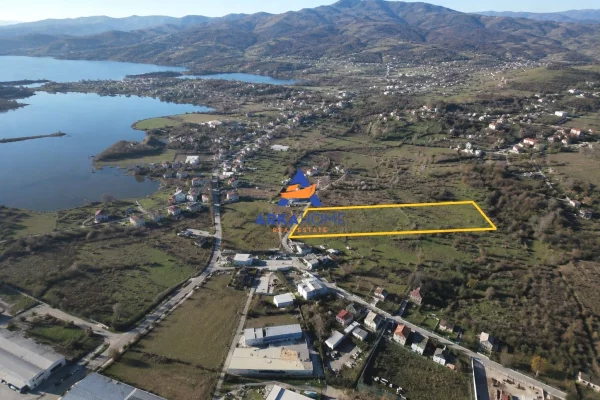 Truall ose Toke ne Tirane - 731,250 Euro