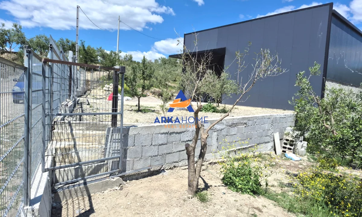 JEPER MAGAZINE ME QIRA 250M2 "KOMBINAT" 1200 EURO