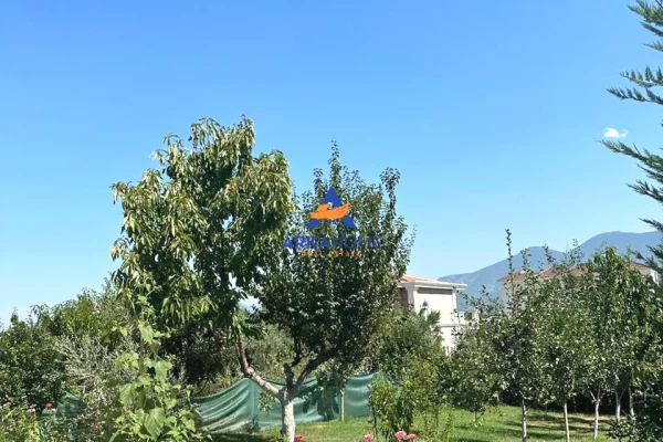 Shtepi me qera Apartament ne Tirane, 3+1, Mobilimi E mobiluar, Pagesa 3,536  Euro.