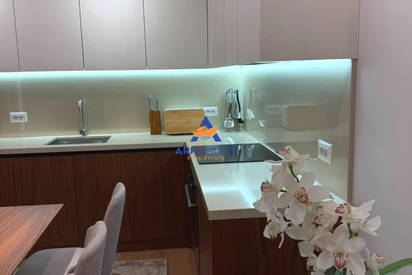 Shtepi me qera Apartament ne Tirane, 1+1, Mobilimi E mobiluar, Pagesa 697  Euro.