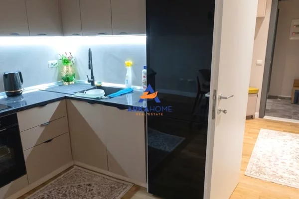 Shtepi me qera Apartament ne Tirane, 1+1, Mobilimi E mobiluar, Pagesa 919  Euro.