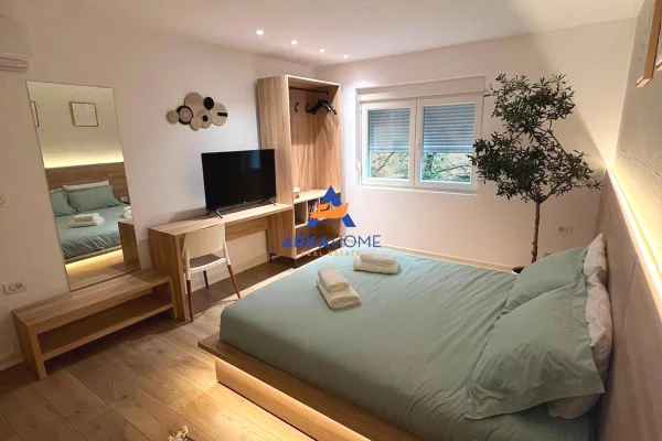 Shtepi me qera Apartament ne Tirane, 1+1, Mobilimi E mobiluar, Pagesa 649  Euro.