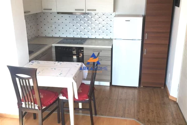 Shtepi me qera Apartament ne Tirane, 1+1, Mobilimi E mobiluar, Pagesa 543  Euro.
